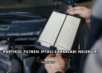 Partikül Filtresi İptali Zararları Nelerdir?