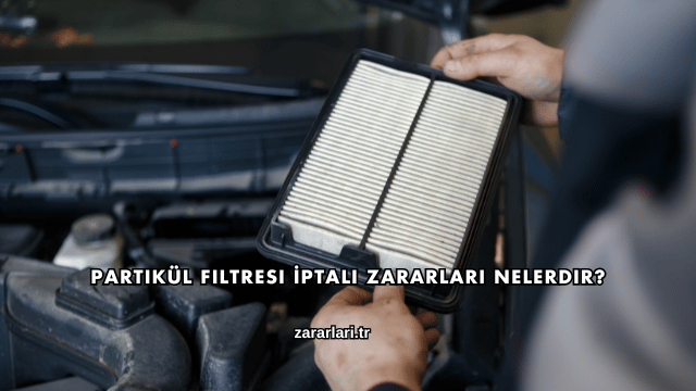 Partikül Filtresi İptali Zararları Nelerdir?