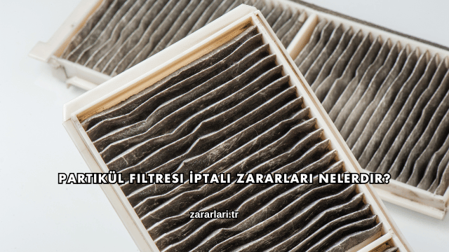 Partikül Filtresi İptali Zararları Nelerdir?