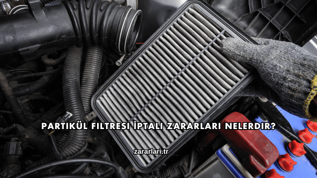 Partikül Filtresi İptali Zararları Nelerdir?