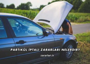 Partikül İptali Zararları Nelerdir?