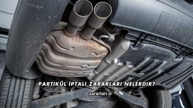 Partikül İptali Zararları Nelerdir?