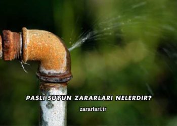 Paslı Suyun Zararları Nelerdir?