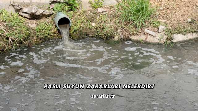 Paslı Suyun Zararları Nelerdir?