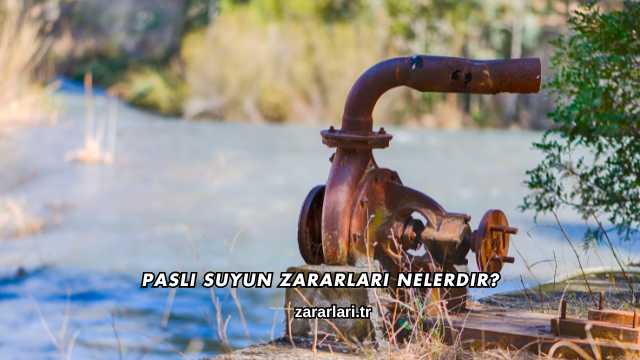 Paslı Suyun Zararları Nelerdir?