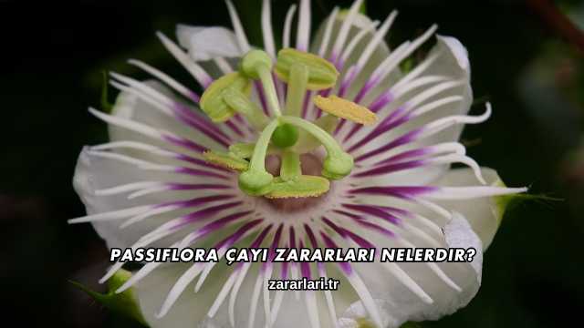 Passiflora Çayı Zararları Nelerdir?