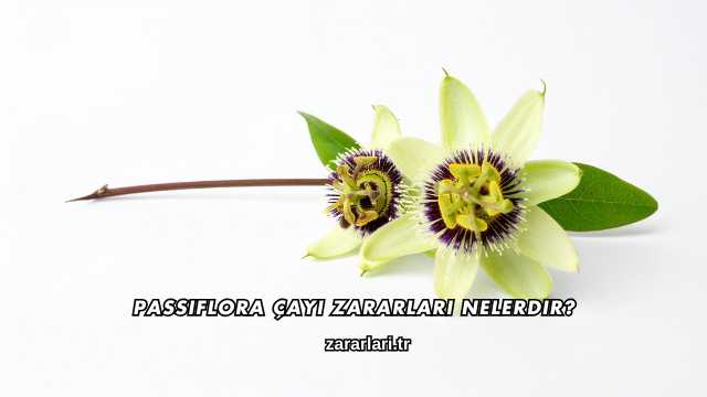 Passiflora Çayı Zararları Nelerdir?