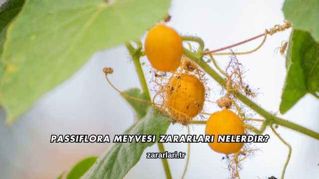 Passiflora Meyvesi Zararları Nelerdir?