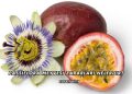 Passiflora Meyvesi Zararları Nelerdir?