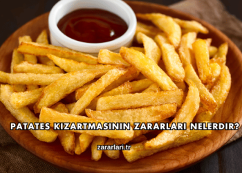 Patates Kızartmasının Zararları Nelerdir?