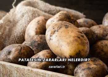 Patatesin Zararları Nelerdir?