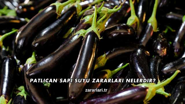 Patlıcan Sapı Suyu Zararları Nelerdir?