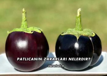 Patlıcanın Zararları Nelerdir?