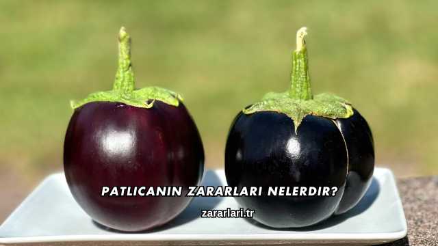Patlıcanın Zararları Nelerdir?