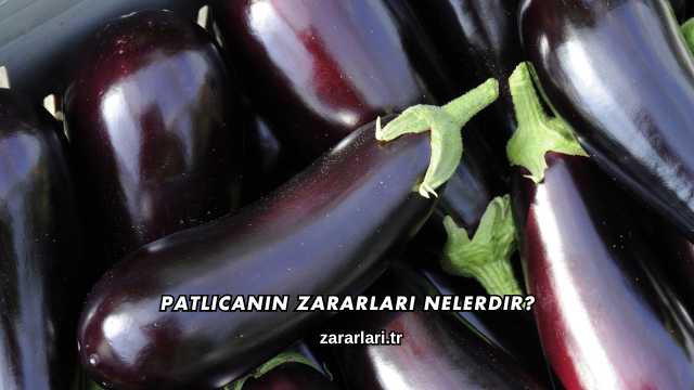 Patlıcanın Zararları Nelerdir?
