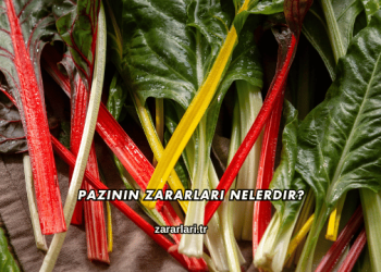 Pazının Zararları Nelerdir?