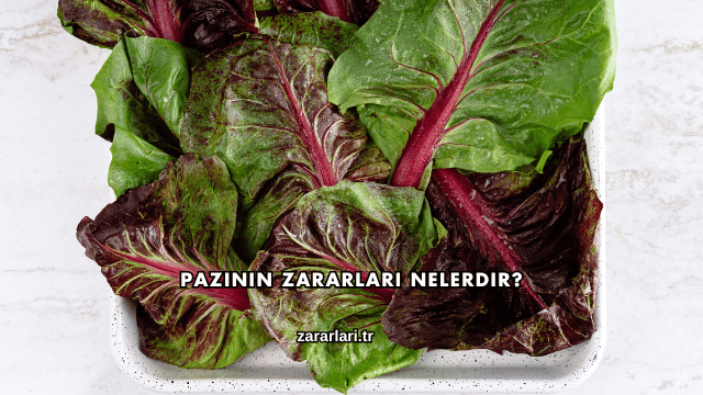 Pazının Zararları Nelerdir?