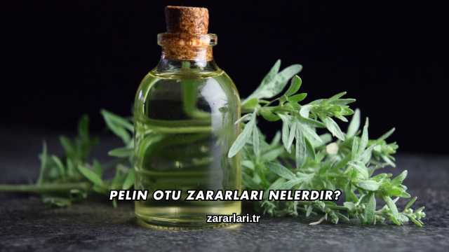 Pelin Otu Zararları Nelerdir?