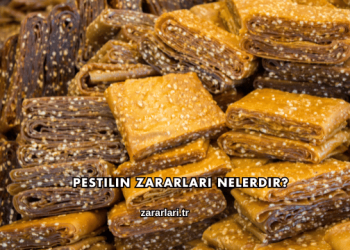 Pestilin Zararları Nelerdir?