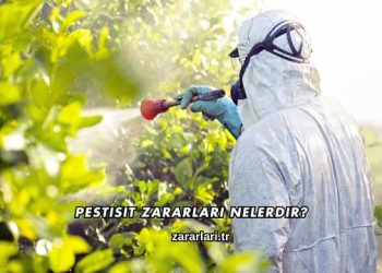 Pestisit Zararları Nelerdir?