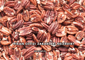 Pikan Cevizi Zararları Nelerdir?