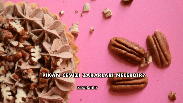 Pikan Cevizi Zararları Nelerdir?