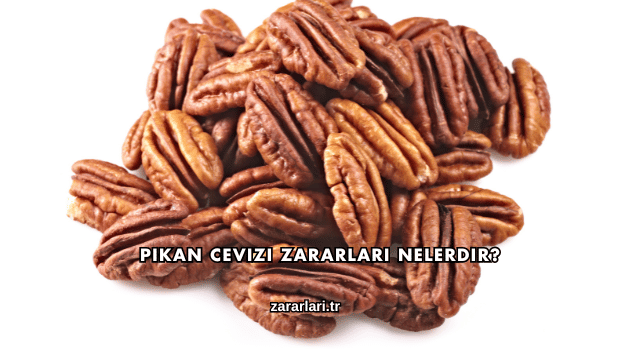 Pikan Cevizi Zararları Nelerdir?