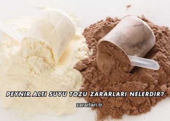 Peynir Altı Suyu Tozu Zararları Nelerdir?