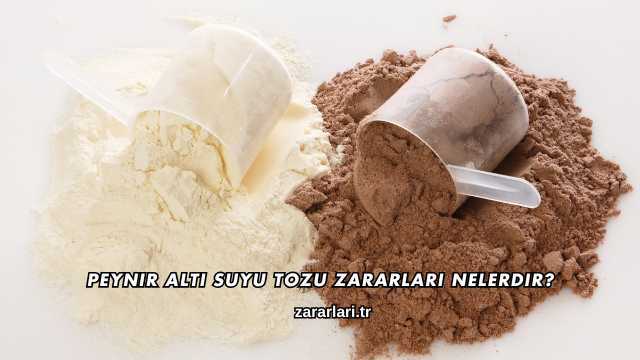 Peynir Altı Suyu Tozu Zararları Nelerdir?