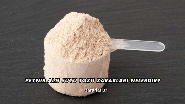 Peynir Altı Suyu Tozu Zararları Nelerdir?