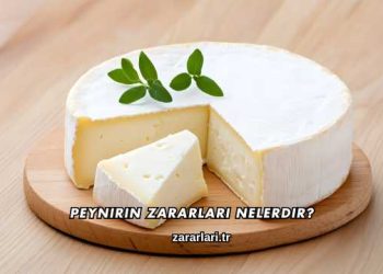 Peynirin Zararları Nelerdir?