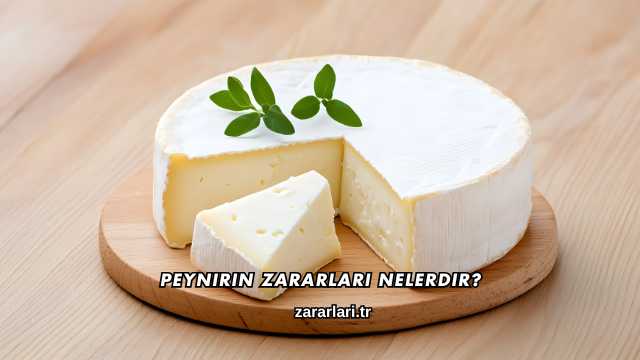 Peynirin Zararları Nelerdir?