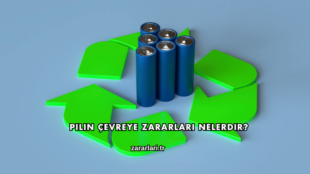 Pilin Çevreye Zararları Nelerdir?