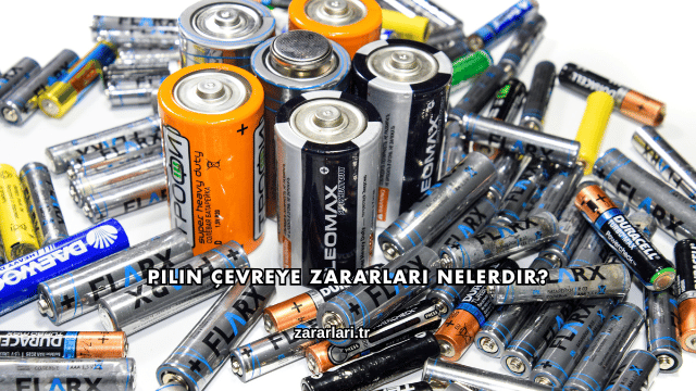 Pilin Çevreye Zararları Nelerdir?