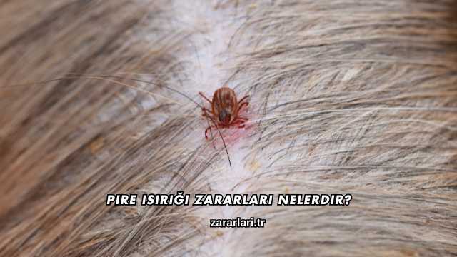 Pire Isırığı Zararları Nelerdir?