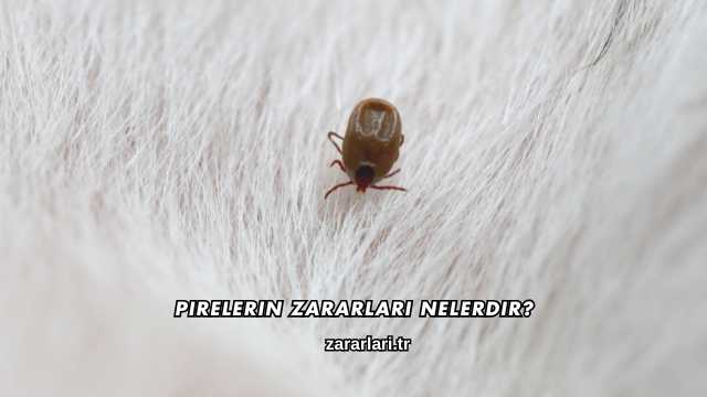 Pirelerin Zararları Nelerdir?