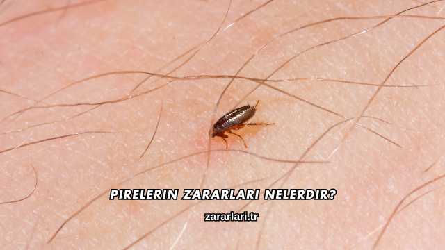 Pirelerin Zararları Nelerdir?