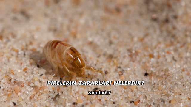 Pirelerin Zararları Nelerdir?