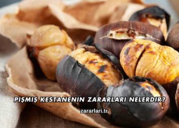 Pişmiş Kestanenin Zararları Nelerdir?