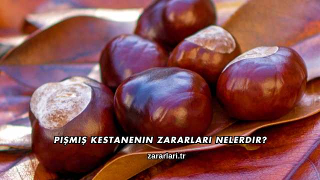 Pişmiş Kestanenin Zararları Nelerdir?