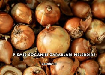 Pişmiş Soğanın Zararları Nelerdir?
