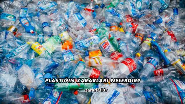 Plastiğin Zararları Nelerdir?