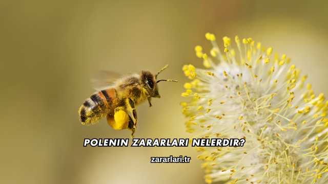 Polenin Zararları Nelerdir?