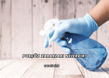 Porçöz Zararları Nelerdir?