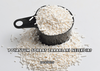 Potasyum Sorbat Zararları Nelerdir?