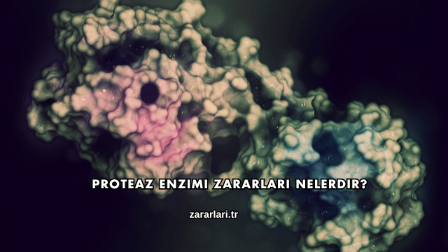 Proteaz Enzimi Zararları Nelerdir?