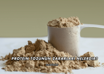 Protein Tozunun Zararları Nelerdir?