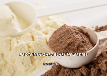 Proteinin Zararları Nelerdir?