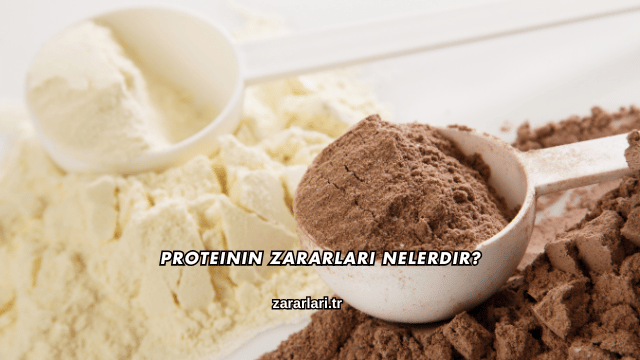 Proteinin Zararları Nelerdir?