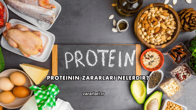 Proteinin Zararları Nelerdir?